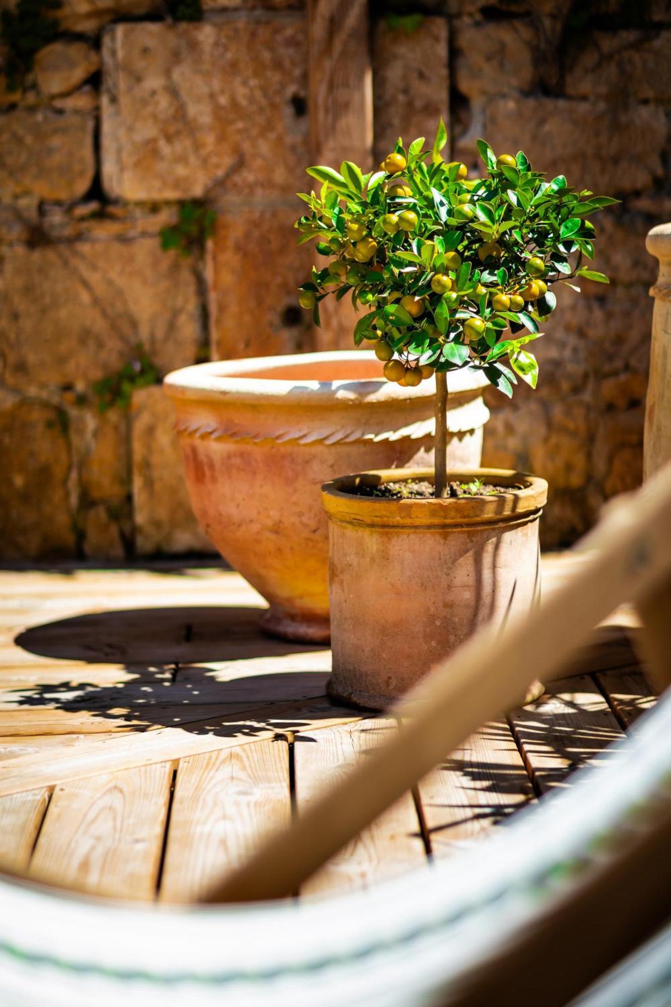 Maison Des Chanoines Sarlat-la-Caneda Εξωτερικό φωτογραφία